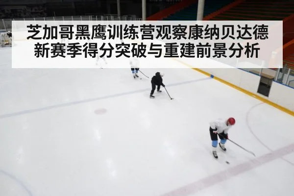 芝加哥黑鹰训练营观察康纳贝达德 新赛季得分突破与重建前景分析 - HTH